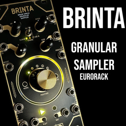 Brinta Granular Sampler from Error Instruments and This not Rocket Science Eurorack Synth module available at Noisebug synthesizer shop in Pomona CA