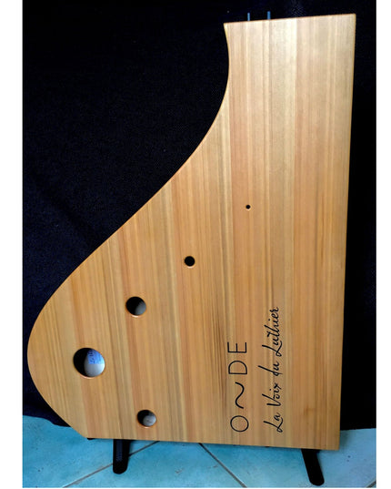 La Voix du Luthier Onde Acoustic Resonator