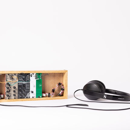 BF Synths - BF-02 555VCO [AE MODULAR]