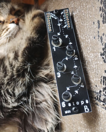 BF Synths - BF-31 5Steps [AE MODULAR]