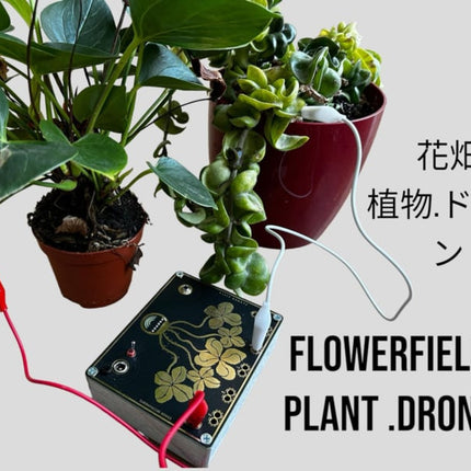 Error Instruments - Flowerfield Plant Drone