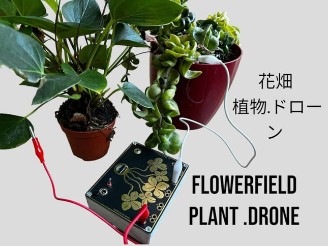 Error Instruments - Flowerfield Plant Drone