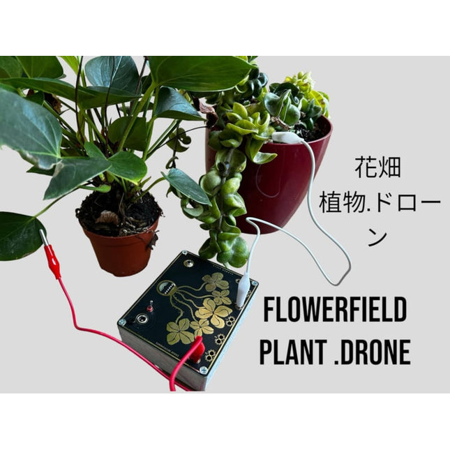 Error Instruments - Flowerfield Plant Drone