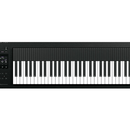 Expressive E - Osmose 61-Key 24-Voice Polyphonic Synthesizer