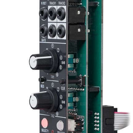 Flame - Papagei Dual CV Looper