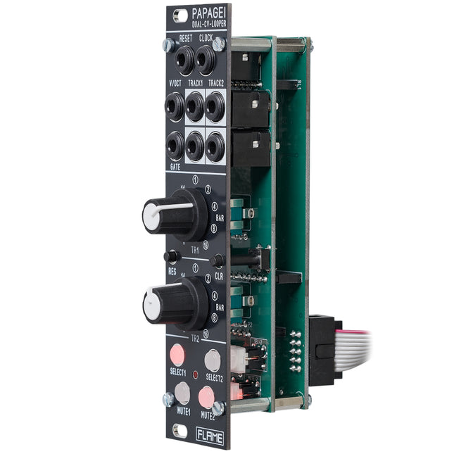 Flame - Papagei Dual CV Looper