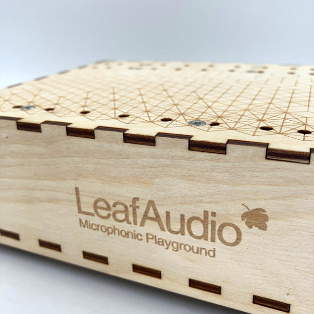Leaf Audio - Microphonic Playground